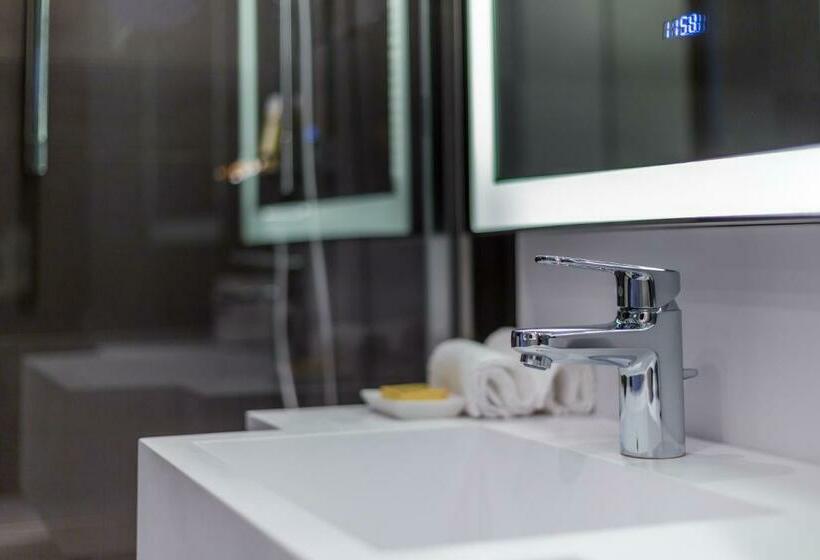 سوئیت با تخت بزرگ, Hyatt Regency Paris Etoile