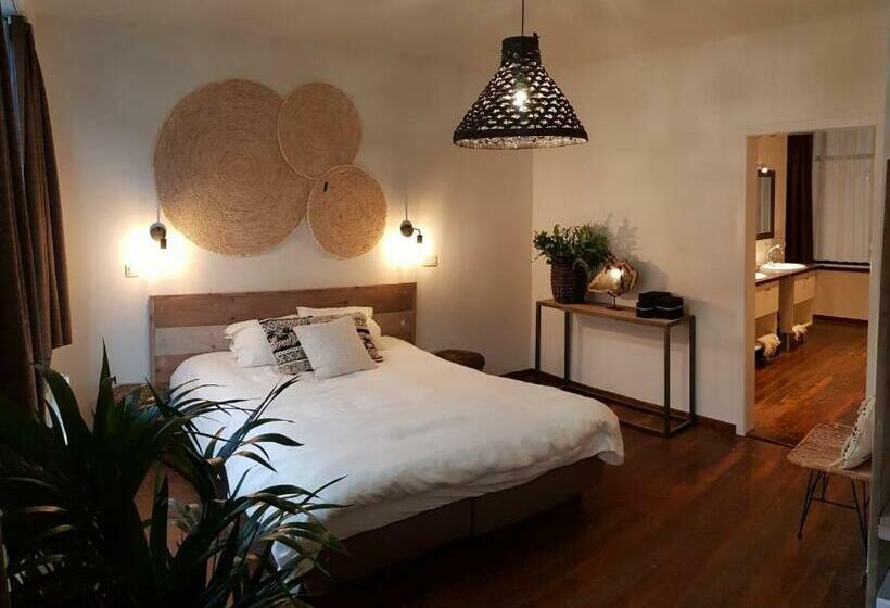 اتاق لوکس, Anthos B&b