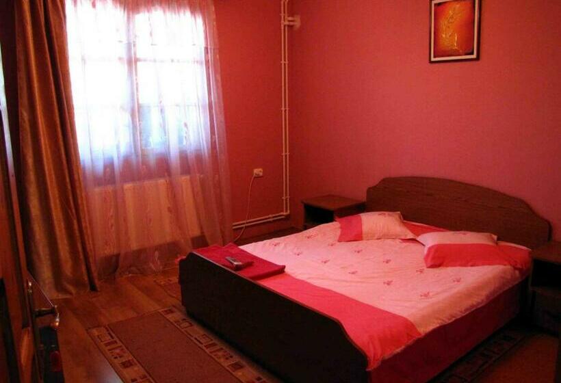 اتاق استاندارد با سرویس بهداشتی مشترک, Casa Oana