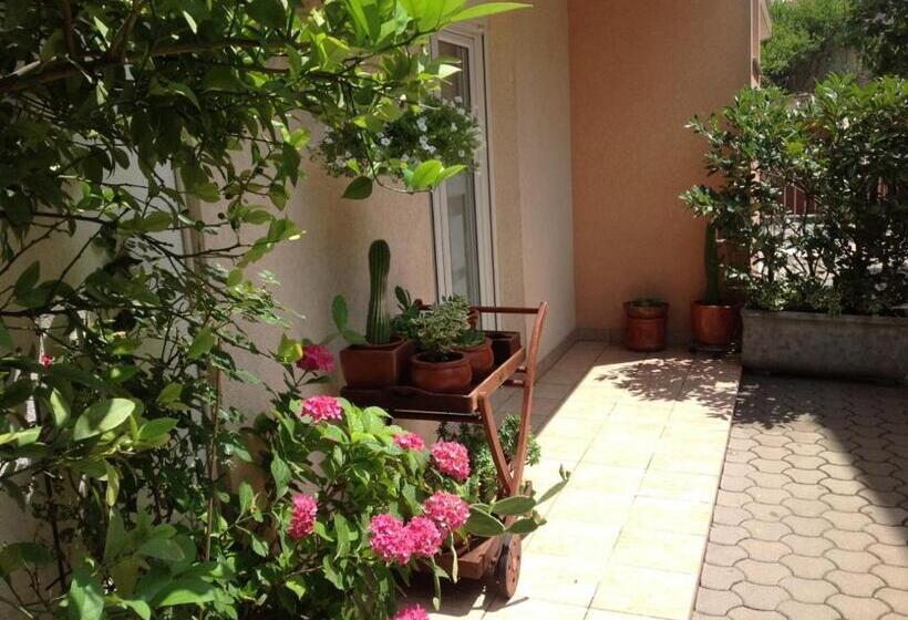 استودیوی استاندارد, Apartman Mona
