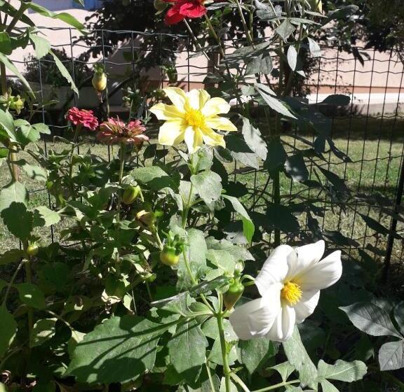 آپارتمان 1 خوابه, Apartman Mona