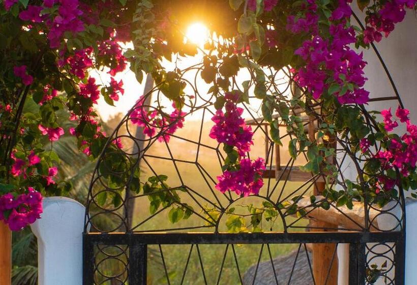 ویلای 1 خوابه با چشم‌انداز باغ, Sunset View Tofo