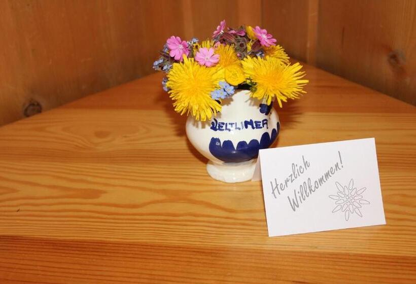 스탠다드 룸 공동 욕실, Gasthaus Edelweiss