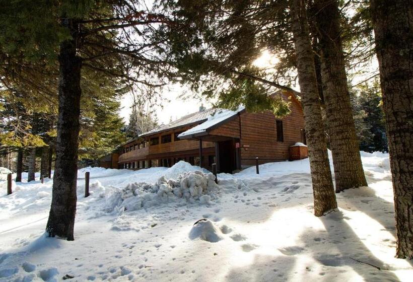 Апартаменты 1 Спальня, Cooper Spur Mountain Resort