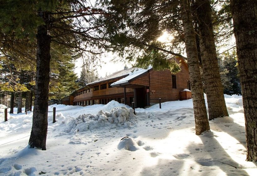 Номер Стандарт, Cooper Spur Mountain Resort
