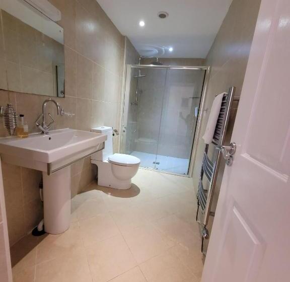 Апартаменты 2 Спальни, Llys Aeron Guest House