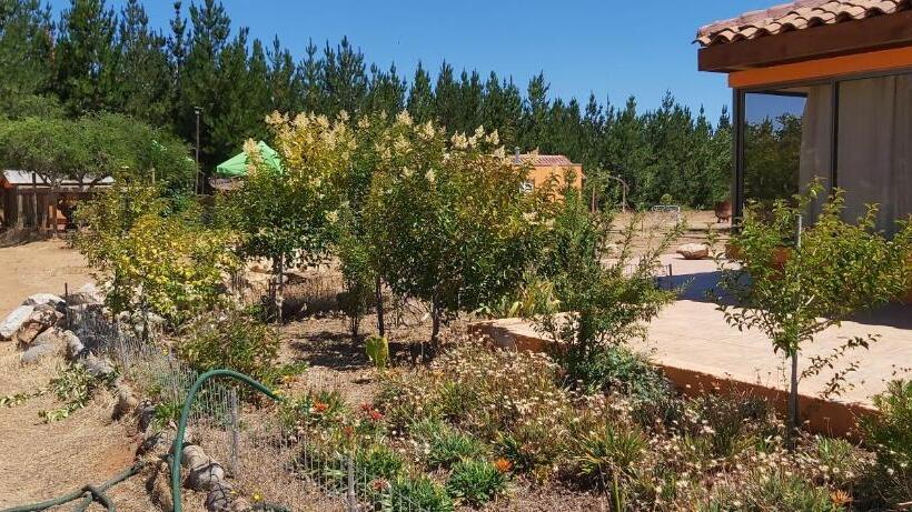 سوییت لوکس, Willy S Country Club Cauquenes
