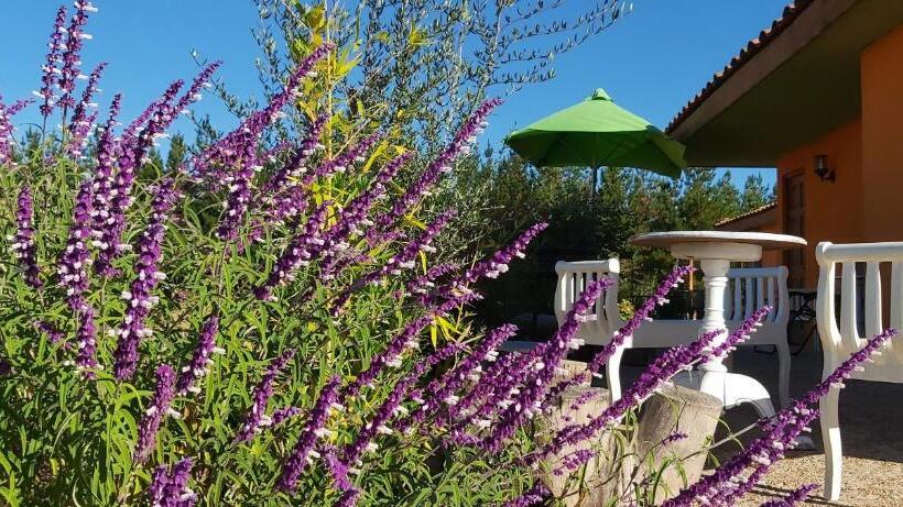 سوئیت با بالکن, Willy S Country Club Cauquenes