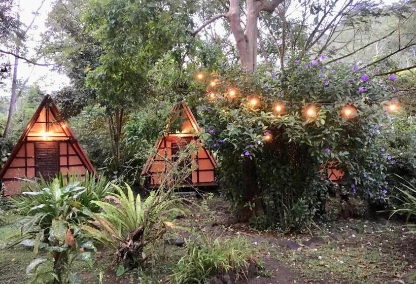 Номер Стандарт Совместная Ванная, Los Mineros Guesthouse