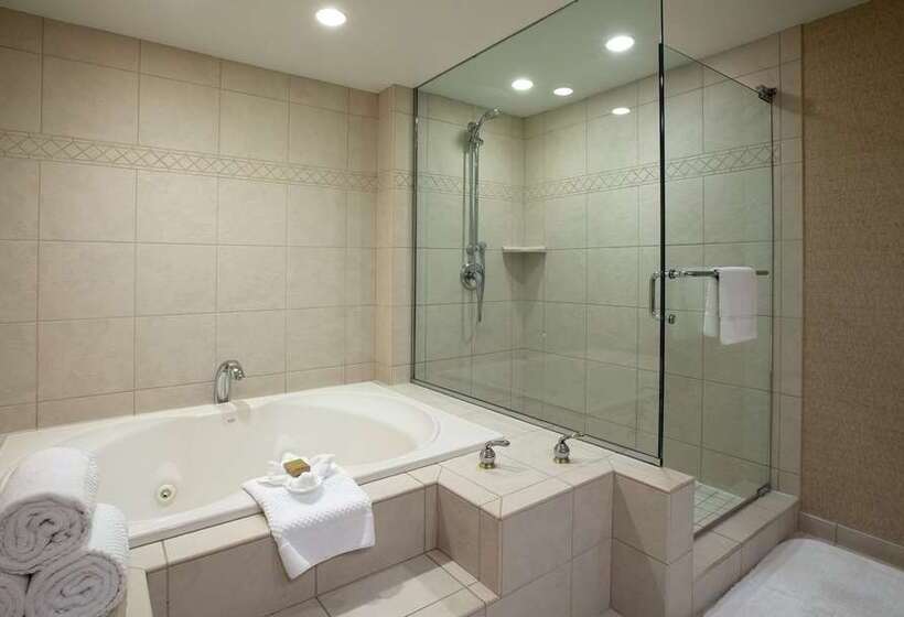 スタンダードルーム, Hilton Niagara Falls/fallsview Hotel & Suites