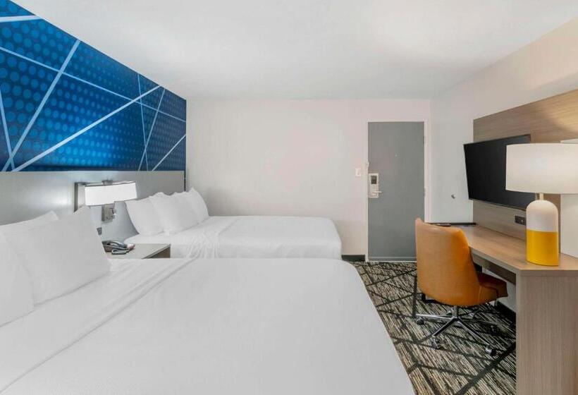 套房, Comfort Inn