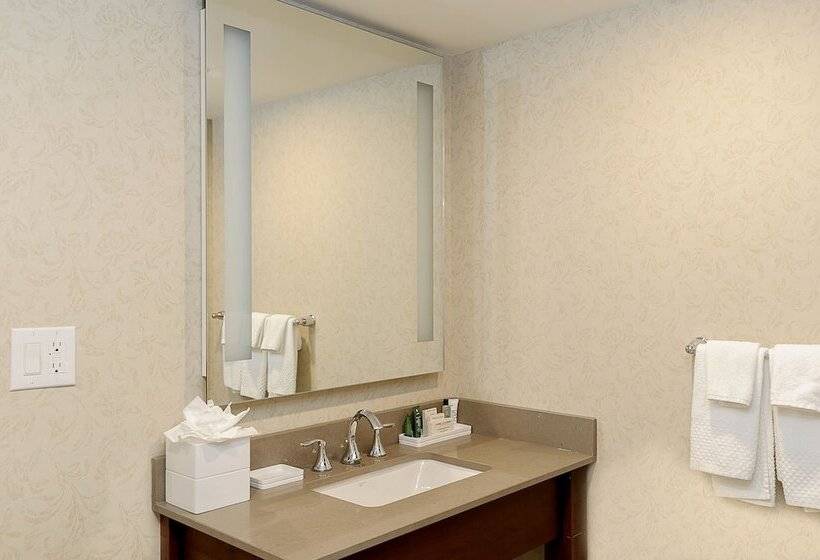 ダブルベッドのスタンダードスタジオ, Hilton Niagara Falls/fallsview Hotel & Suites