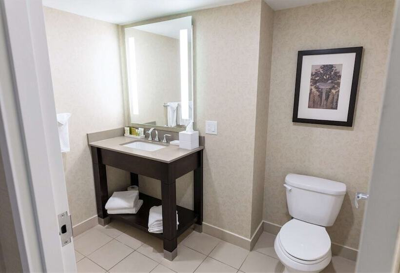 ダブルベッドのベーシックルーム, Hilton Niagara Falls/fallsview Hotel & Suites
