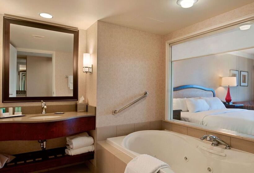 景色の見えるダブルベッドスタンダードルーム, Hilton Niagara Falls/fallsview Hotel & Suites
