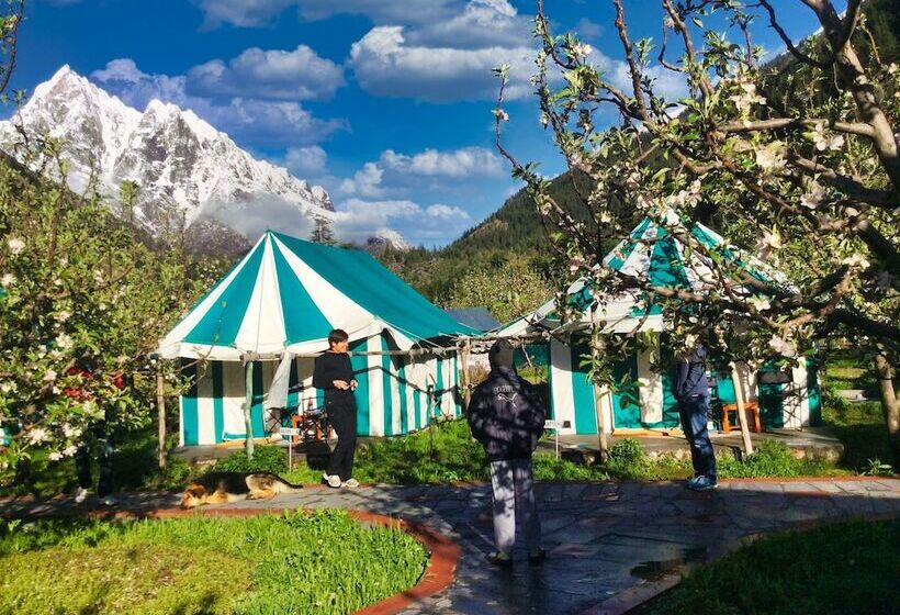 Deluxe Tent, Banjara Camp And Retreat Sangla