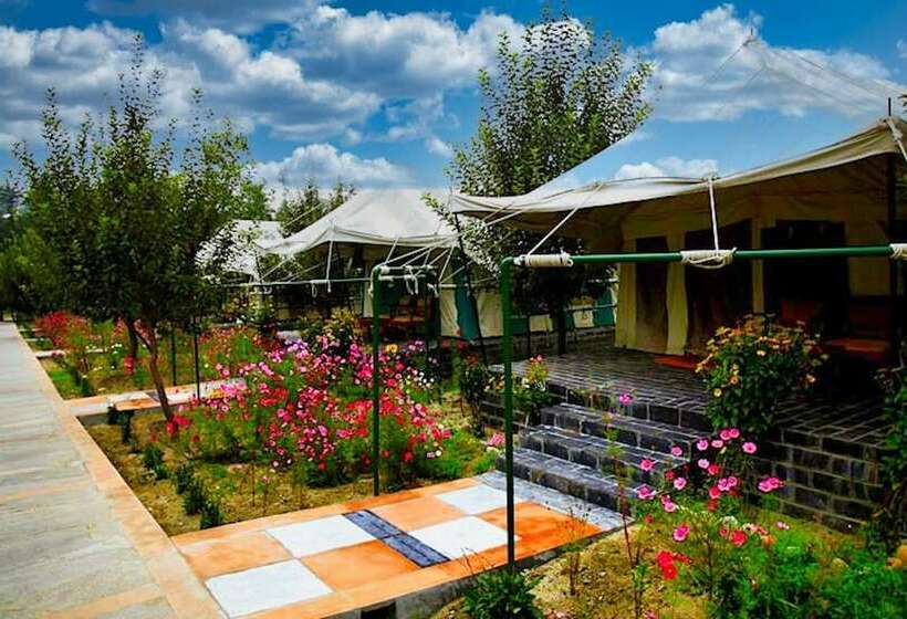 Deluxe Tent, Banjara Camp And Retreat Sangla