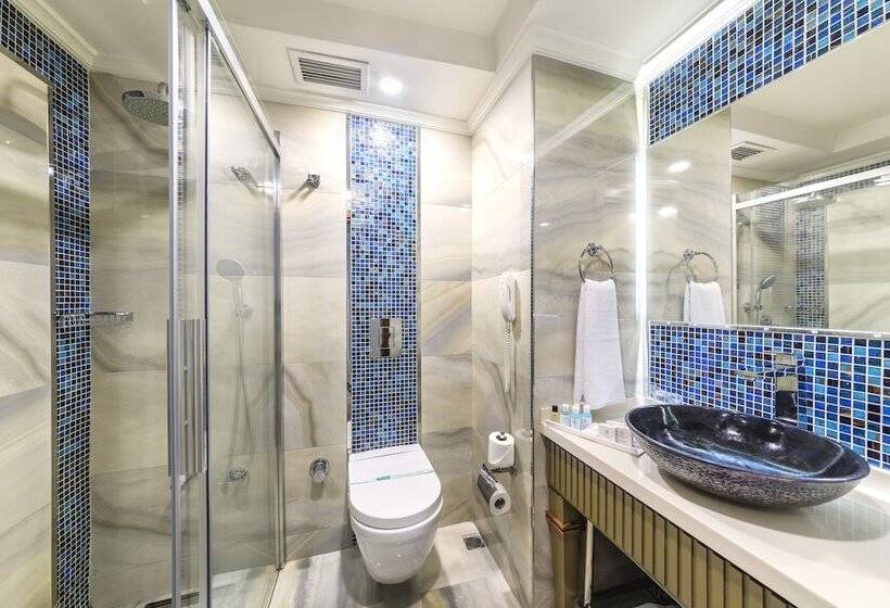 اتاق اکونومی, Grand Yavuz Hotel Sultanahmet