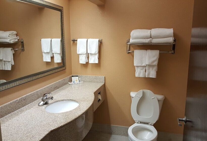 Люкс, Comfort Suites Mobile East Bay