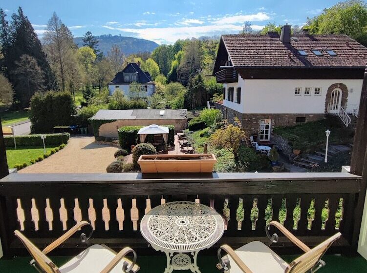 Студия Стандарт, Park Villa Zentral Am Mittelrhein   Zimmer & Apartments