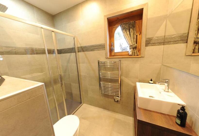 اتاق سوپریور سه تخته, Bellevue