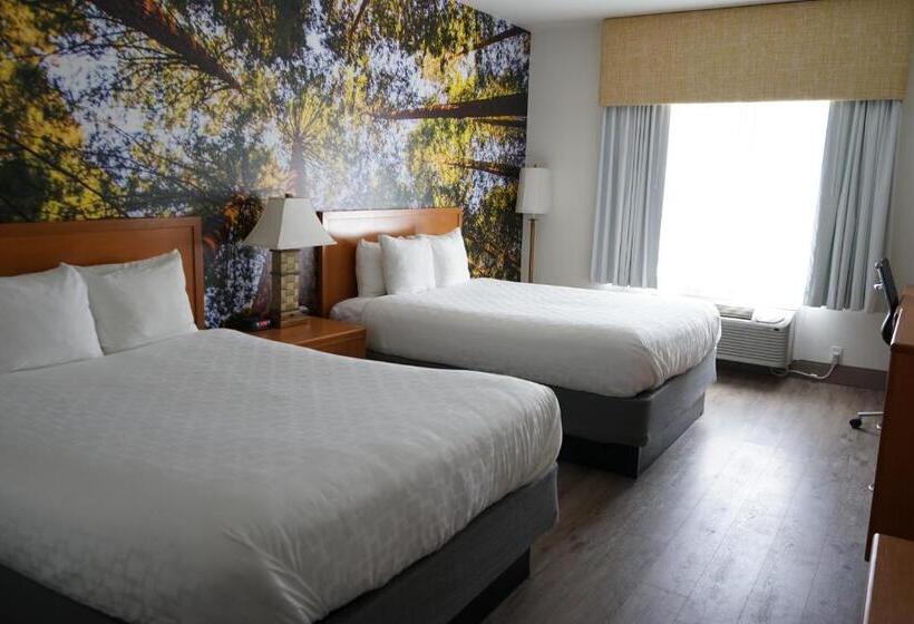 장애인을 위한 스탠다드 룸, Comfort Inn Hanford Lemoore