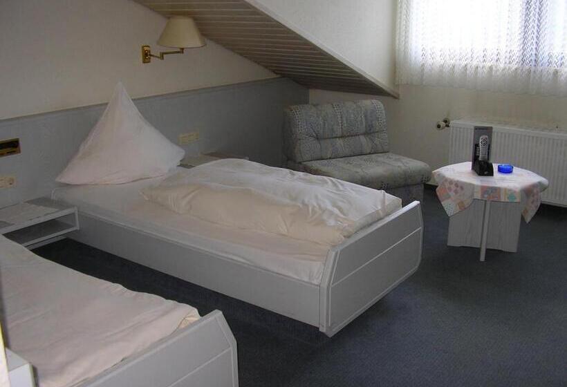 Номер Стандарт Индивидуальный, Flair Hotel Landgasthof Roger