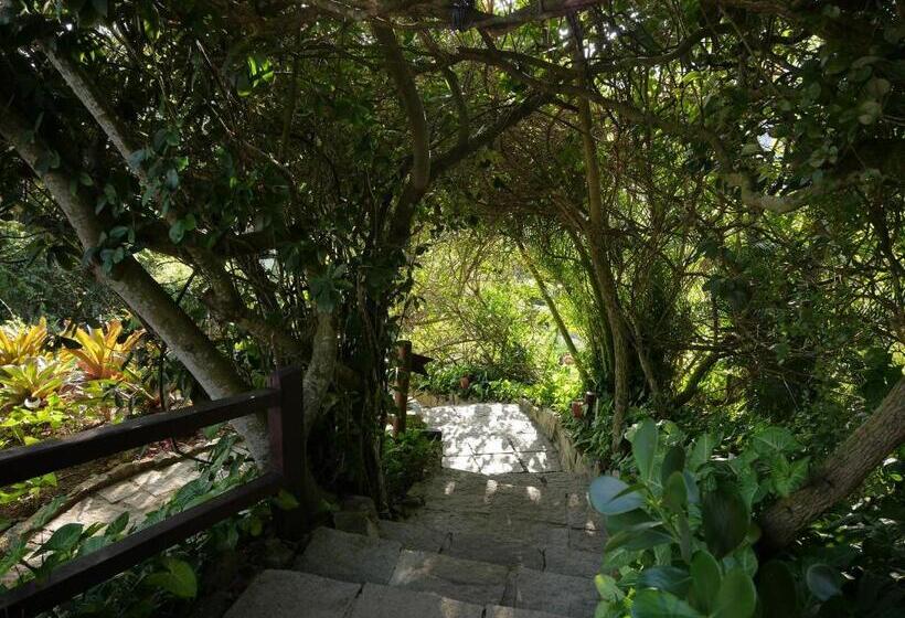 디럭스 룸 바다 전망, La Pedrera Small Hotel & Spa