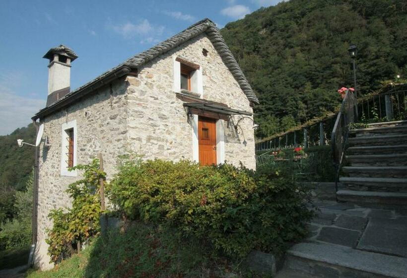 سوییت, Fattoria L'amorosa