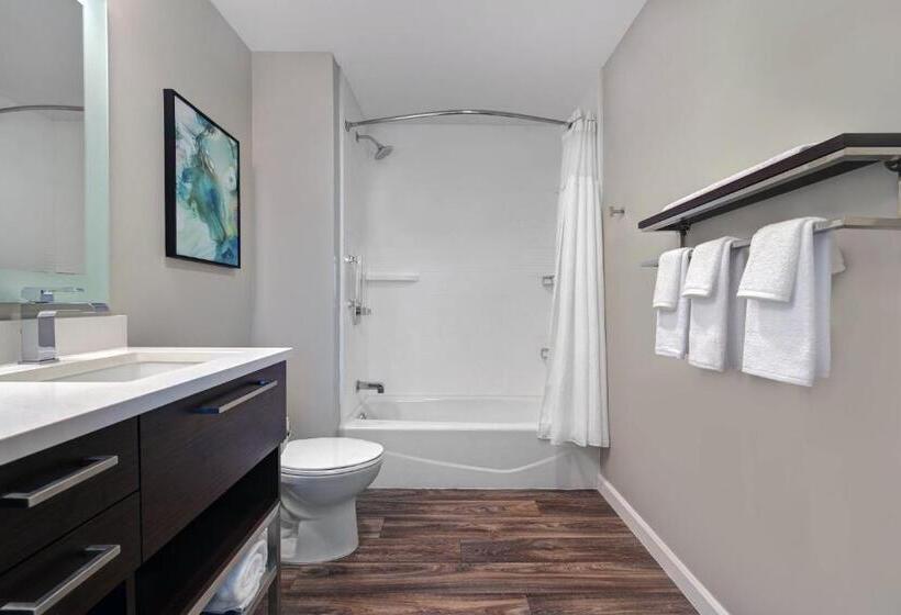 Студио Стандарт Кровать Кинг, Towneplace Suites Sacramento Airport Natomas