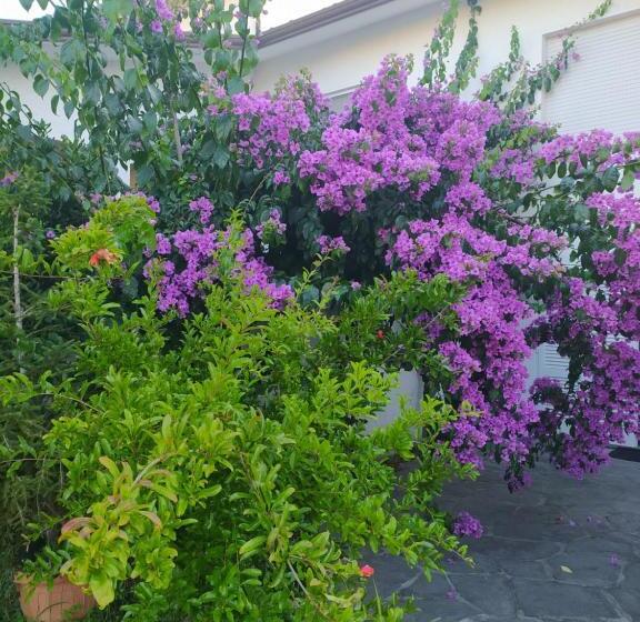 اتاق لوکس, La Bouganville B&b