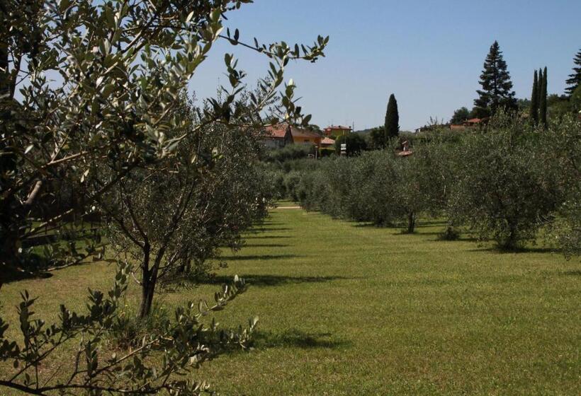 Superior room with lake view, Agriturismo Nonna Bettina