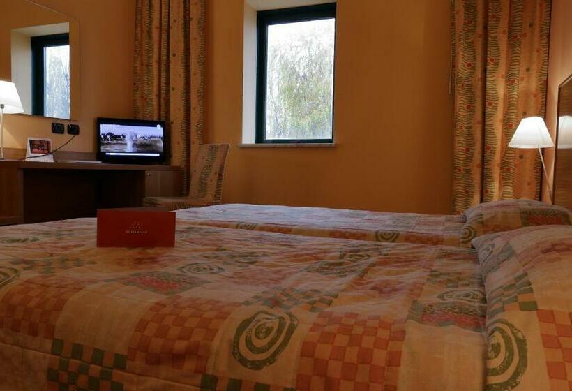 اتاق استاندارد, Romanisio