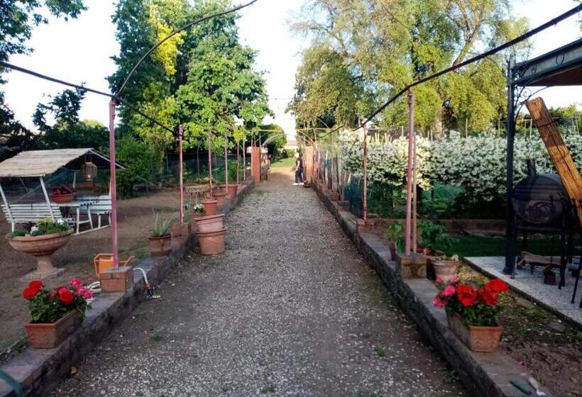 اتاق استاندارد با تخت بزرگ برای معلولان, Alle Vecchie Mura