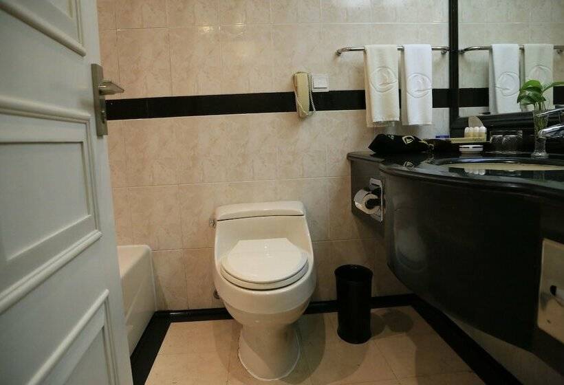 Номер Executive, Plaza International Hotel Zhejiang