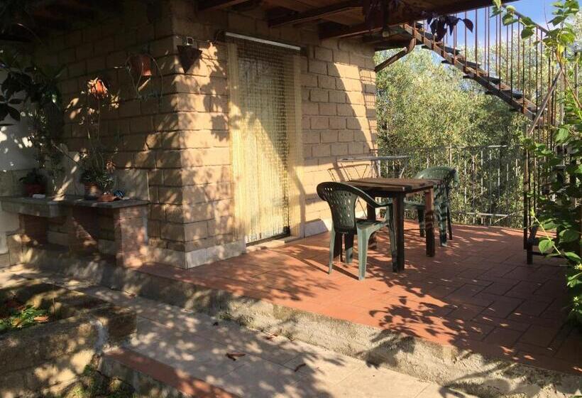 Студия Стандарт, Poggio Baroni Agriturismo