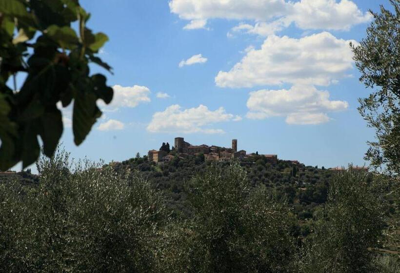 Студия Стандарт, Poggio Baroni Agriturismo