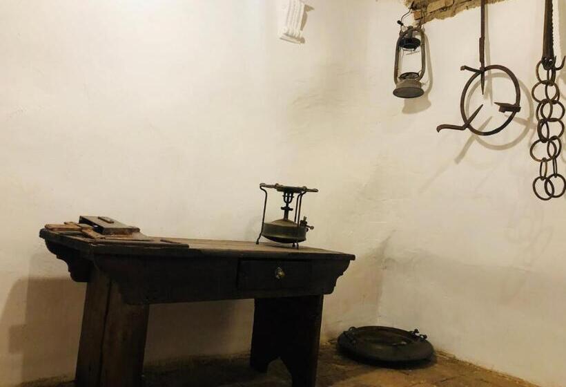 آپارتمان سوپریور 1 خوابه, Ca  Del Borgo