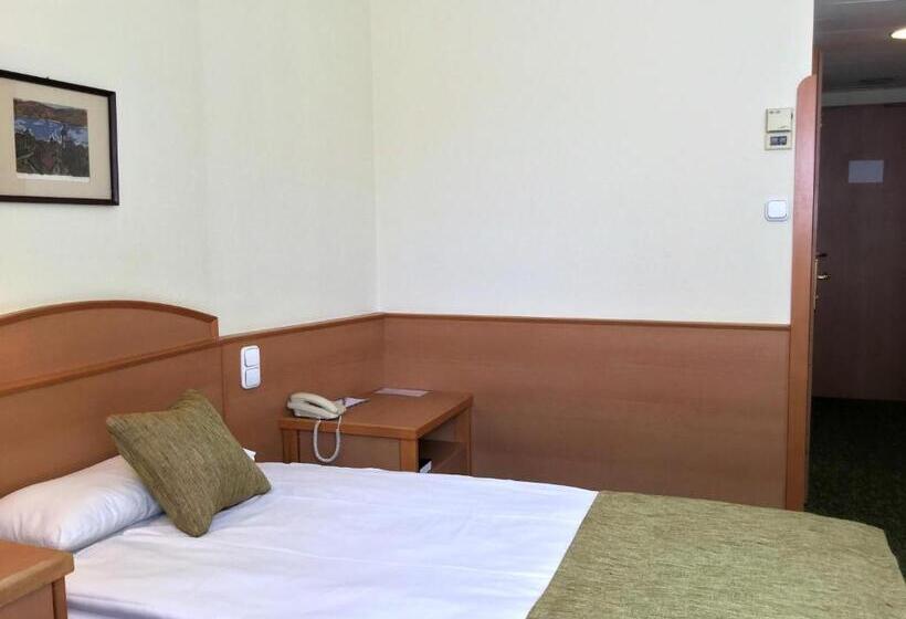 Номер Стандарт Индивидуальный, Danubius Hotel Erzsébet City Center
