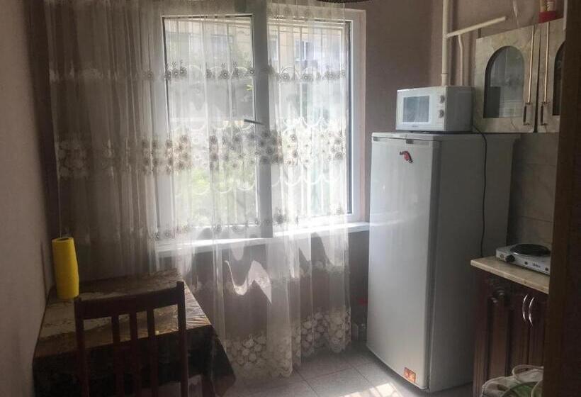 آپارتمان 1 خوابه همکف, Guest House On Demerjipa