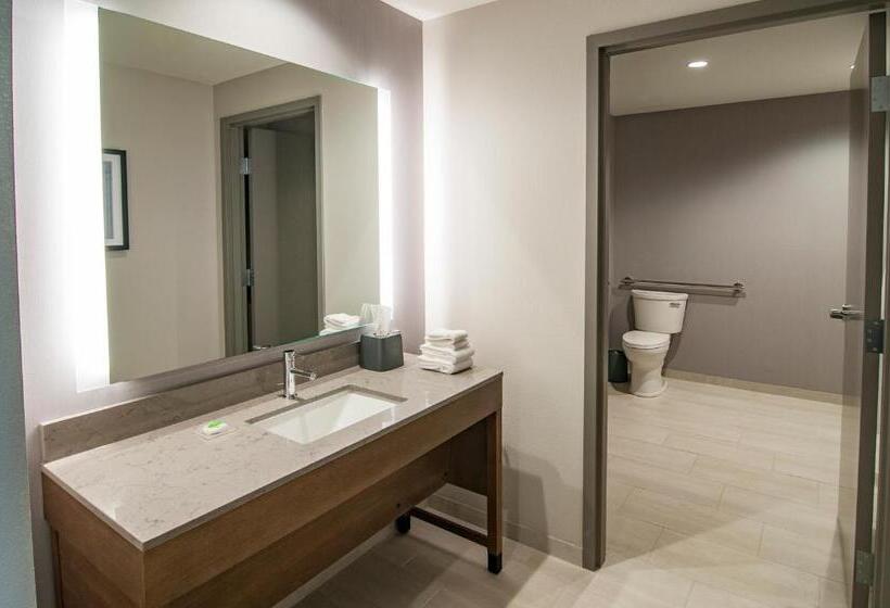 Номер Стандарт Кровать Кинг Адаптированный для Инвалидов, Hyatt Place Sioux Falls South