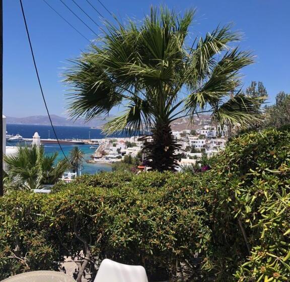 Номер Стандарт, Rania Apartments Sea View