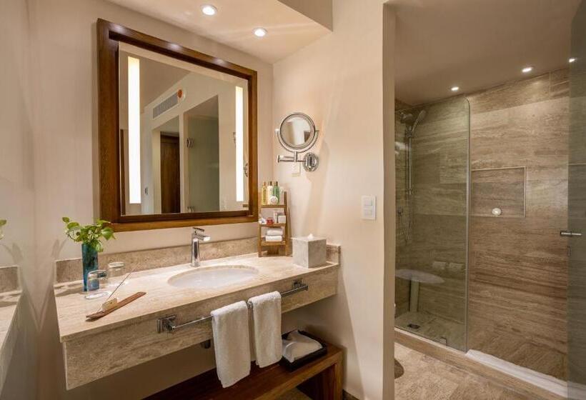Полулюкс, Dreams Sands Cancun Resort & Spa