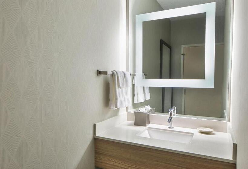 带大床的标准工作室, Springhill Suites Memphis Downtown