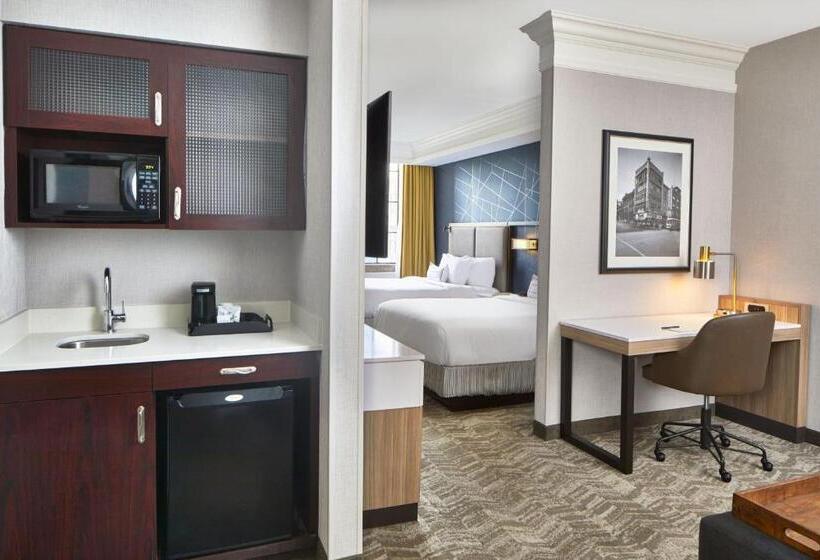 带双人床的标准工作室, Springhill Suites Memphis Downtown