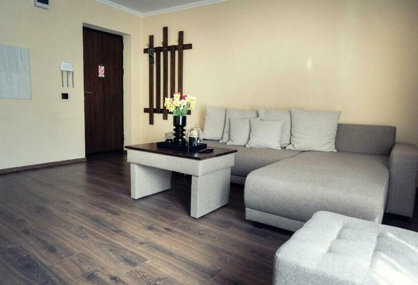 آپارتمان 1 خوابه, London Apartments Vaslui