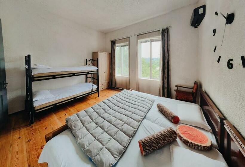 Habitación Familiar, Iveri House