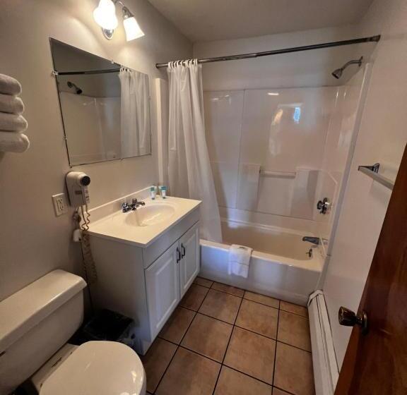 اتاق استاندارد با چشم‌انداز دریا, Green Dolphin Motel