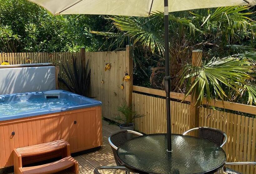 Дом 2 Спальни, Ivyleaf Combe Lodges
