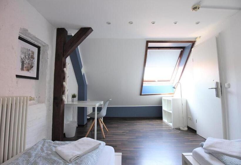 اتاق استاندارد با سرویس بهداشتی مشترک, Blue Doors Hostel Altstadt