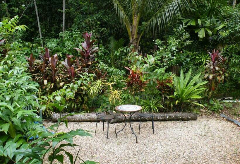 스탠다드 발코니 룸, Epiphyte B & B